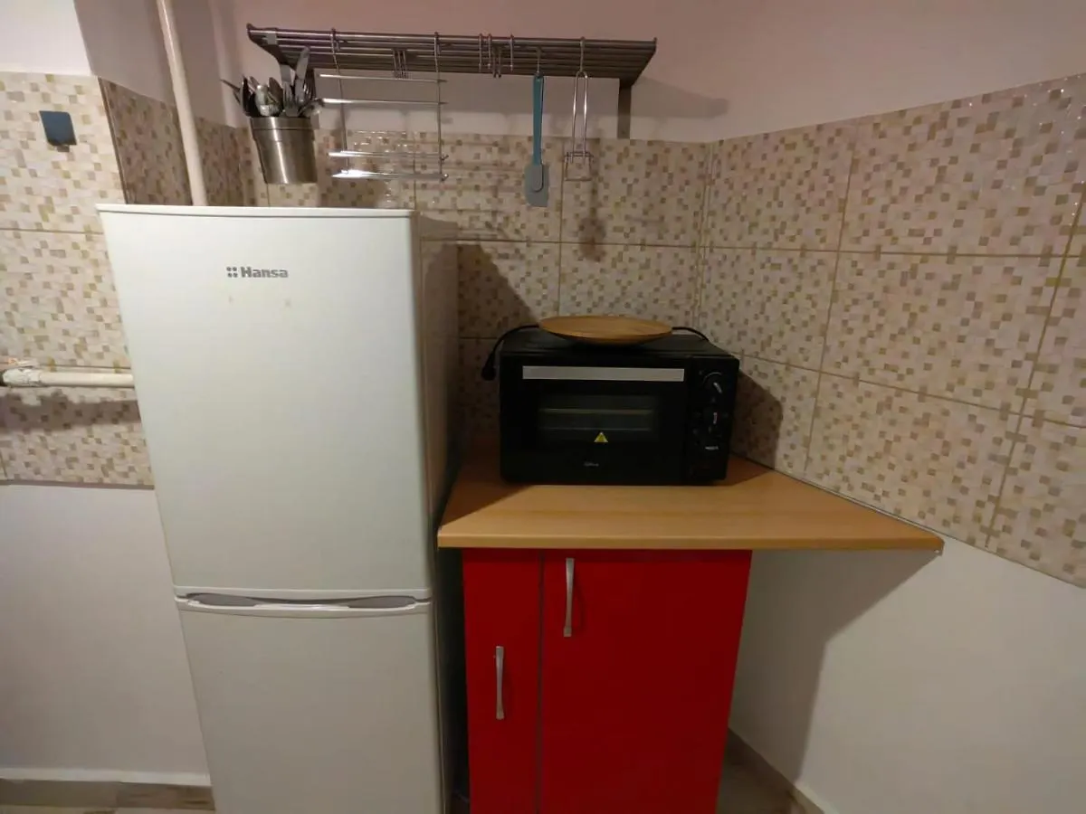 Grozavesti Apartment Near University Bucharest
